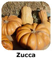 Zucca